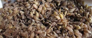 Kastamonu Bulguru Faydaları Nelerdir?